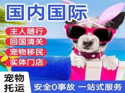 岳阳三荷航空运输国际宠物托运 【国